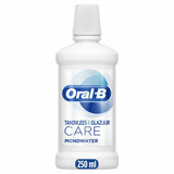 Oral B Oral-B Mondwater Pro-expert Repair Rinse 250 ml