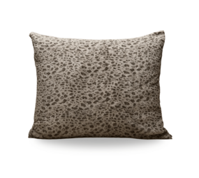 Zelesta Zelesta Teddybed Tiger - 60 x 70 - Taupe Zelesta Zelesta Teddybed Tiger - 60 x 70 - Taupe