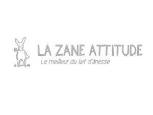 LA ZANE ATTITUDE