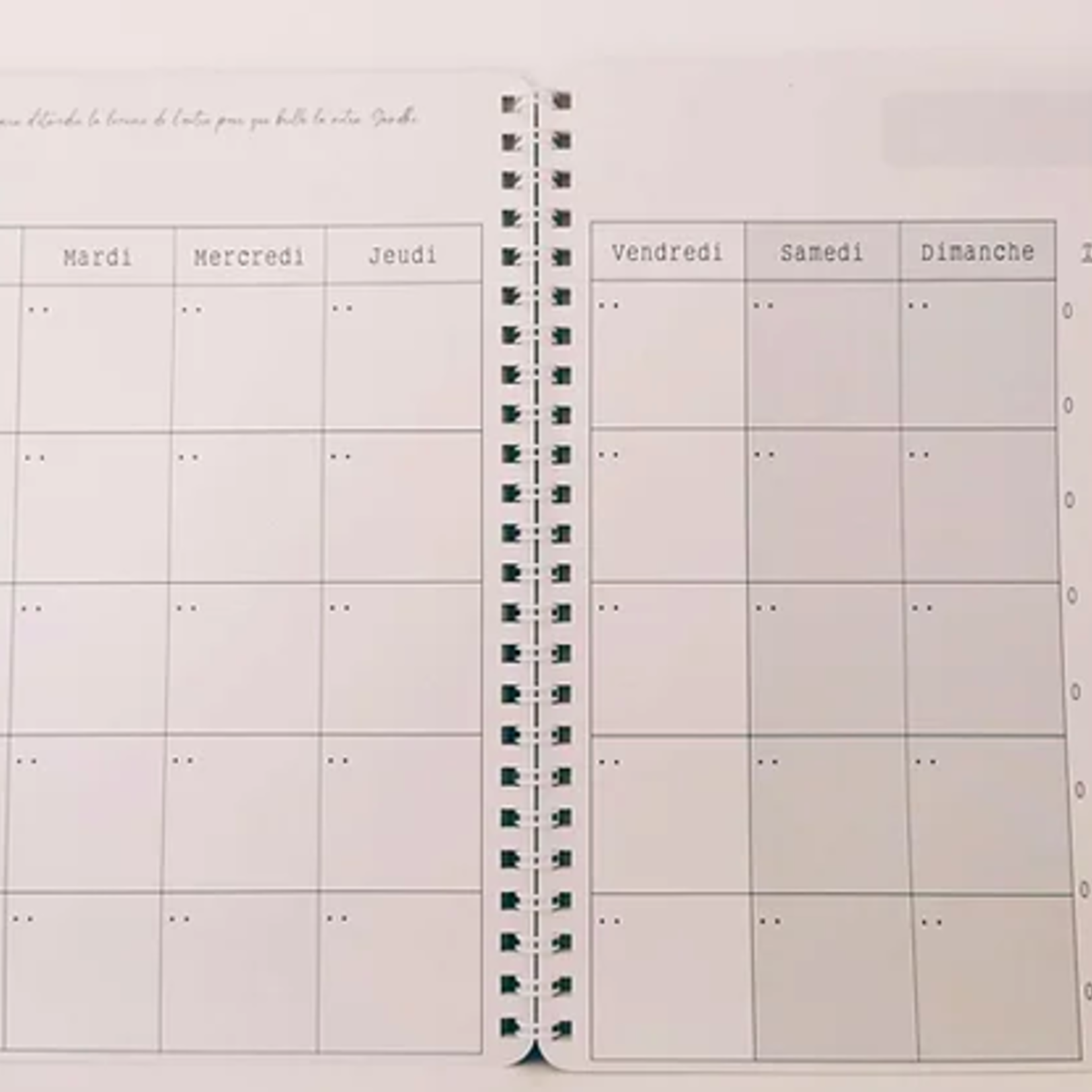 POUSSE D'AMOUR POUSSE D'AMOUR - Carnet mois par mois