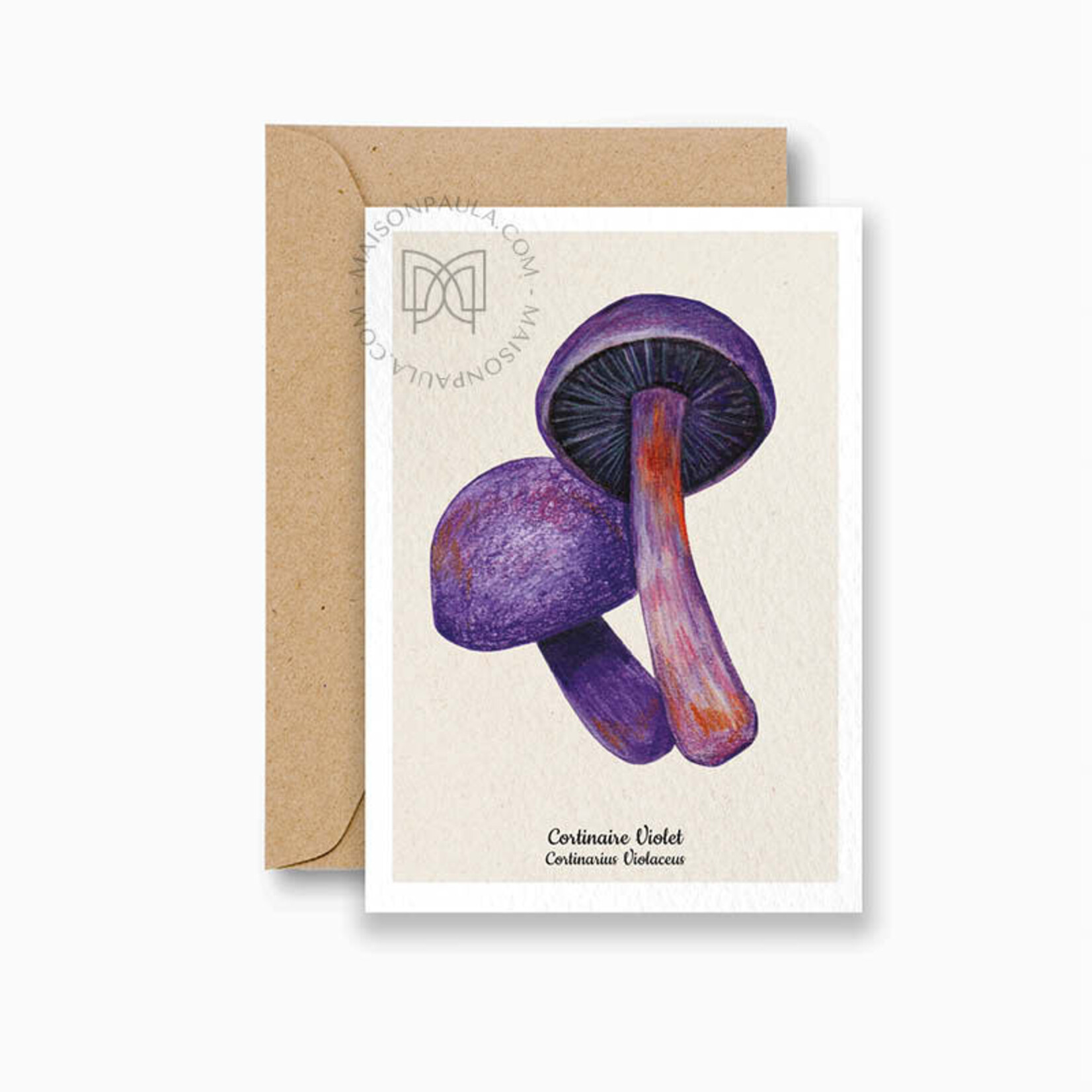 MAISON PAULA MAISON PAULA - Carte postale "Cortinaire Violet"