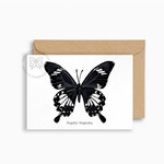 MAISON PAULA MAISON PAULA - Carte postale "Papilio Nephelus"