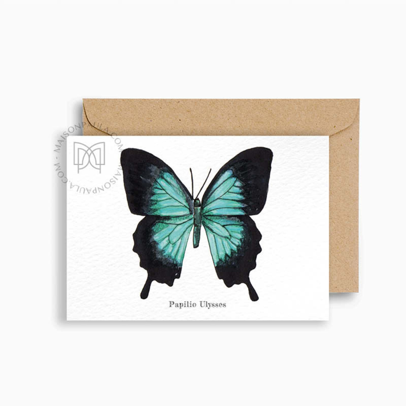 MAISON PAULA MAISON PAULA - Carte postale "Papilio Ulysses"