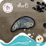 ALICE B. ALICE B - Noordzee