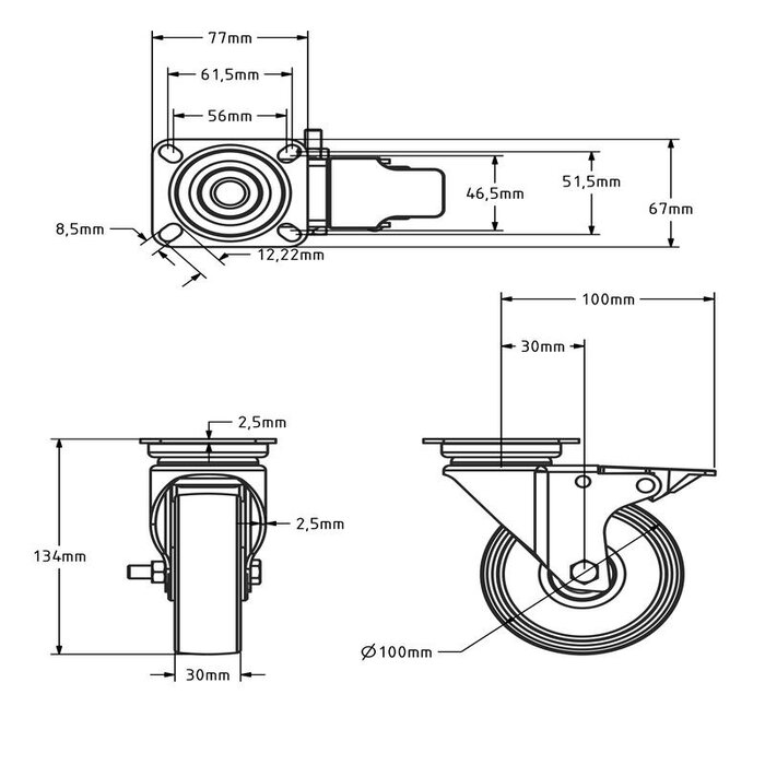 Derby Ruote Rvs zwenkwiel met rem 100 mm - Rubber - 80 kg