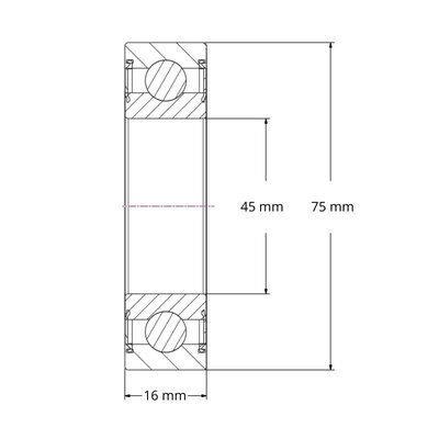 SS 6009 2RS - IBB rvs kogellager (45x75x16)
