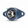 UCFL 212 - IBB flenslagerblok 60 mm