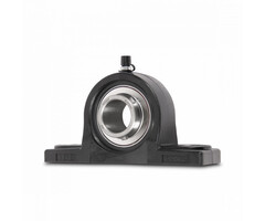 SS UCPPL 205 - IBB rvs lagerblok 25 mm