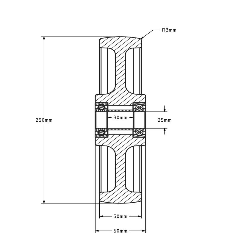 Nylon wiel 250 mm - kogellager asgat 25 mm - 1500 kg