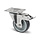 Rvs zwenkwiel met rem 100 mm - Rubber - 100 kg