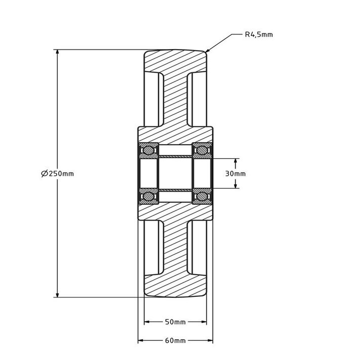 Nylon wiel 250 mm - kogellager asgat 30 mm - 1500 kg