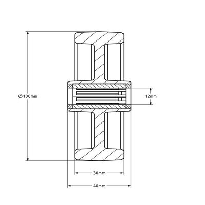 Rvs wiel 100 mm - Nylon - rollager - 175 kg