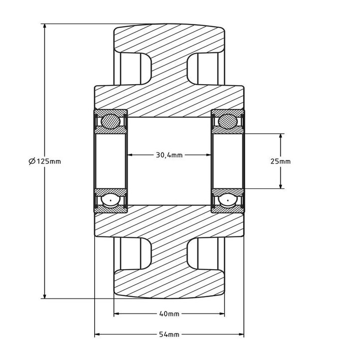 Rvs wiel 125 mm Nylon - kogellager 25 mm - 700 kg