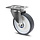 Rvs zwenkwiel 160 mm - kogellager - 450 kg