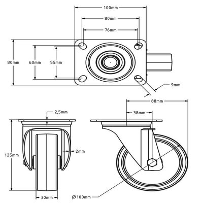 Rvs zwenkwiel 100 mm - Nylon - 200 kg