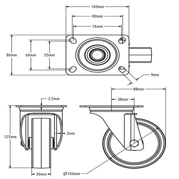 Rvs zwenkwiel 100 mm - Nylon - 200 kg