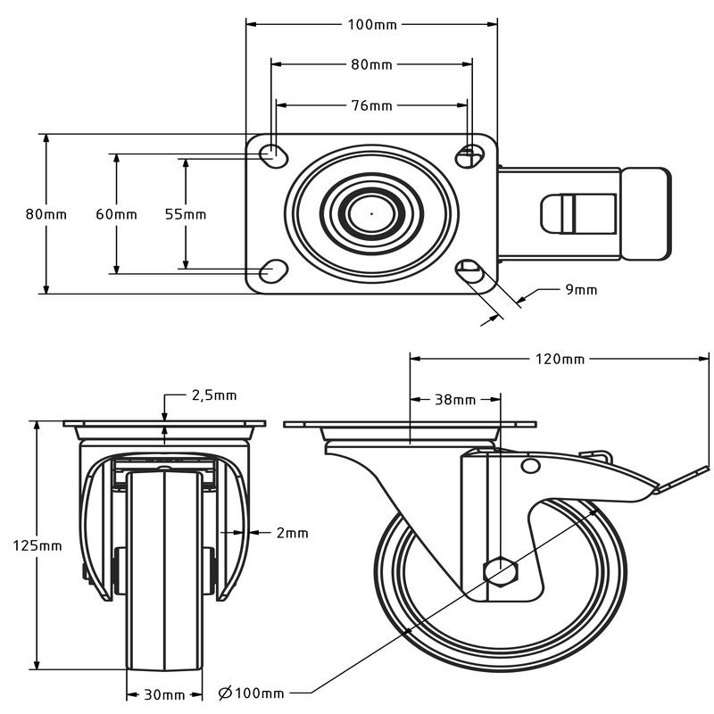 Rvs zwenkwiel met rem 100 mm - Nylon - 200 kg
