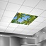 Palmbomen plafond | Fotoplafond LED Paneel | [IMG17]