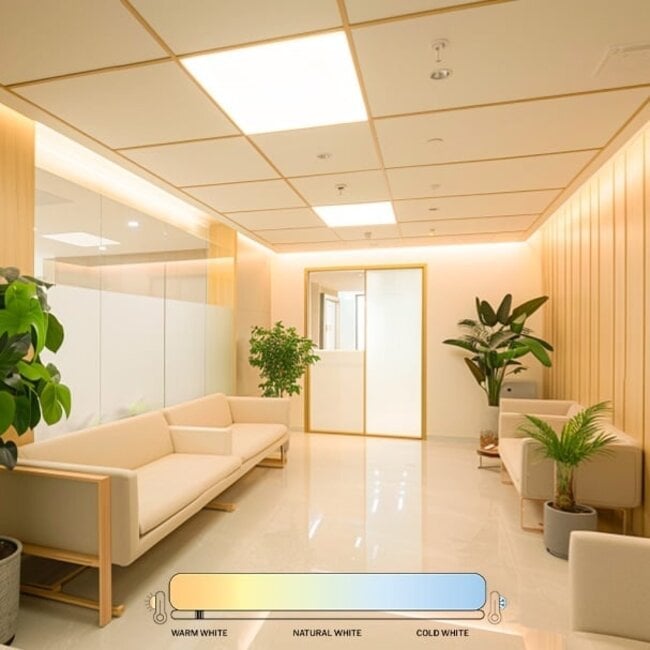 LED Paneel - 62x62 - CCT (2700K-6500K) - Dimbaar - 36W - 4200 lm - 120 lm/W - UGR<19 - Flikkervrij - Edge-lit