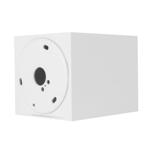 LED GU10 Plafondlamp Kantelbaar Boston | Wit