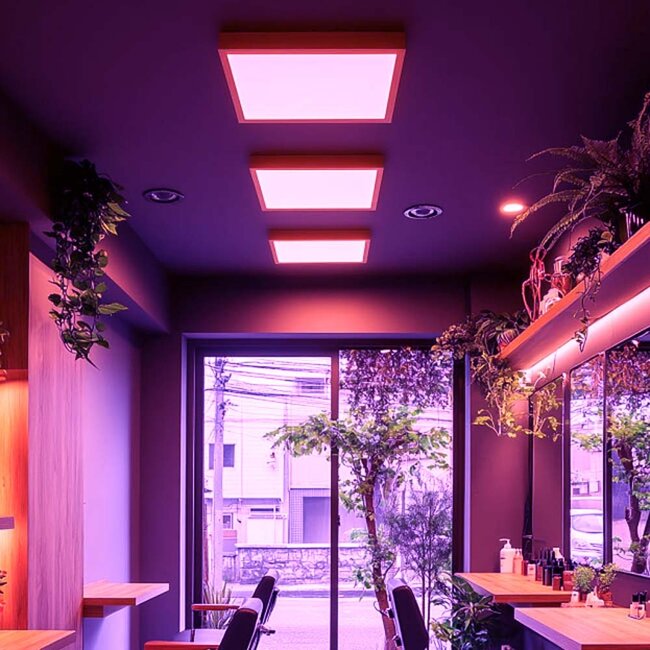 LED Paneel - 30x30 - RGB+CCT (2800K-6500K)  - Dimbaar - 18W - 100 lm/W - UGR<22 - Flikkervrij -  Edge-lit