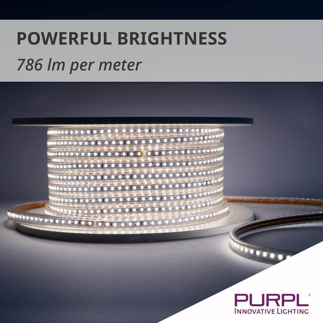 PURPL LED Strip - 50 m - 120 LEDs p/m - 220V - 6000K Koud wit - Dimbaar - IP67