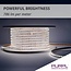 PURPL LED Strip - 50 m - 120 LEDs p/m - 220V - 6000K Koud wit - Dimbaar - IP67