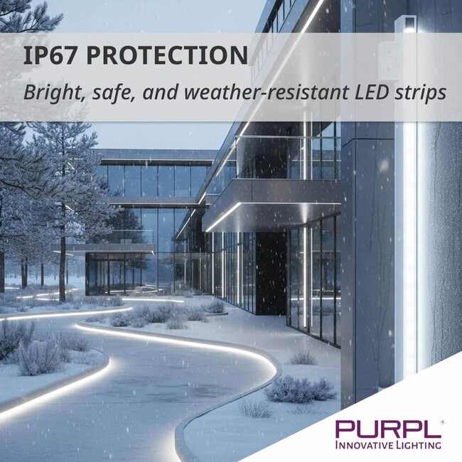 PURPL LED Strip - 50 m - 120 LEDs p/m - 220V - 6000K Koud wit - Dimbaar - IP67