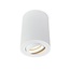 PURPL LED Plafondlamp GU10 Armatuur Opbouwspot Rond Wit