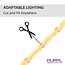 PURPL COB Led Strip - 5m - 512 LED's p/m- 24V - 2700k Warm Wit - IP65 stof- en waterdicht
