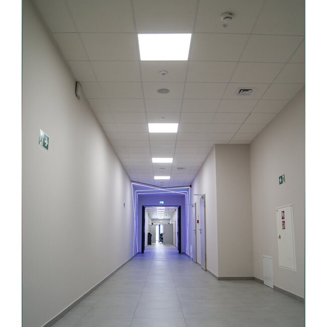 Ledvance LED Paneel Compact - 60x60 - 4000K Helder wit - 33W - 3630 lm - 110 lm/W - UGR<19 - DALI-2 Driver - Flikkervrij - Back-lit