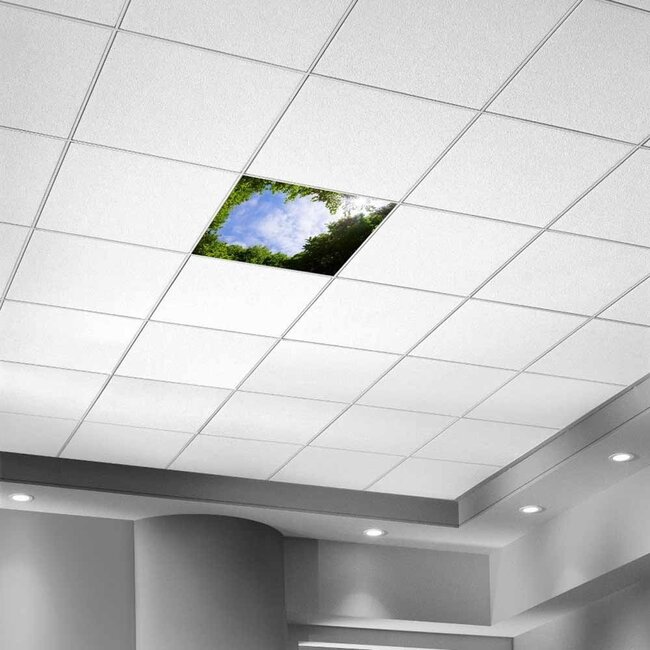 PURPL Bomenplafond - Fotoplafond LED Paneel  - IMG1