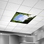 PURPL Bomenplafond - Fotoplafond LED Paneel  - IMG1