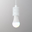 PURPL Smart LED Lampe A60 RGB+CCT E27 9W