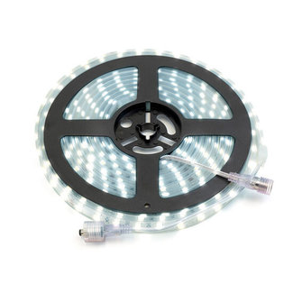 PURPL LED Streifen Wasserdicht Kaltweiß 5 Meter 60 LEDs p/m 24V IP68 (für Außenbereiche und Aquarium)
