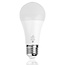 Gledopto Zigbee PRO Gledopto 7W CCT Dimmbar Vintage Amber ST64 LED Filament Lampe E27
