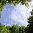 Acrylglas-Platte für LED-Panels 60x60 / 62x62 mit Fotomotiv Bäume #1