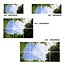 Acrylglas-Platte für LED-Panels 60x60 / 62x62 mit Fotomotiv Bäume #1
