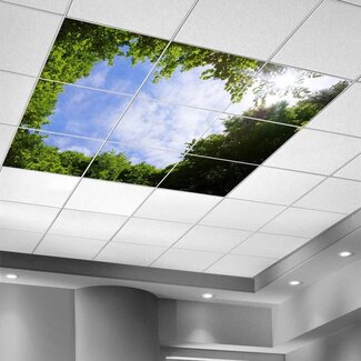 PURPL Acrylglas-Platte für LED-Panels 60x60 / 62x62 Fotomotiv Bäume IMG1