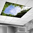 PURPL Acrylglas-Platte für LED-Panels 60x60 / 62x62 mit Fotomotiv Bäume #1