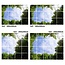 PURPL Acrylglas-Platte für LED-Panels 60x60 / 62x62 mit Fotomotiv Bäume #1