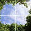 PURPL Acrylglas-Platte für LED-Panels 60x60 / 62x62 mit Fotomotiv Bäume #1