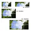 PURPL Acrylglas-Platte für LED-Panels 60x60 / 62x62 Fotomotiv Bäume IMG1