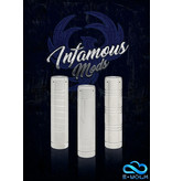 Notorious Mod By Infamous Mods