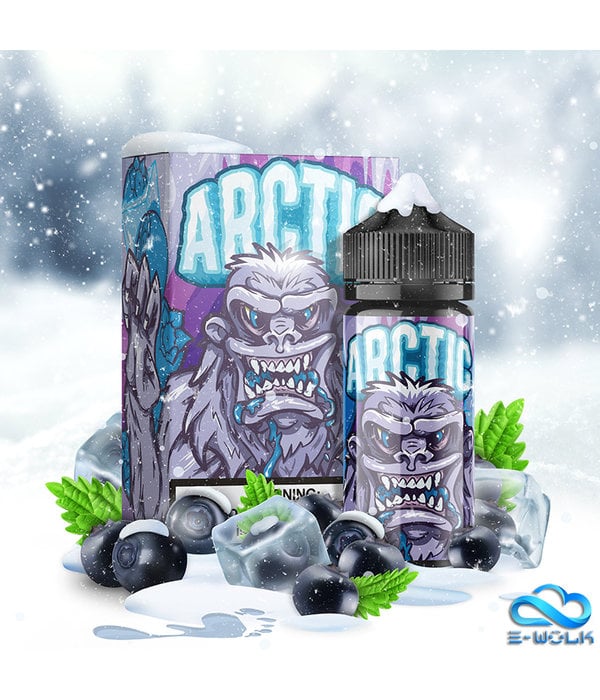 Arctic Blizzard Blue (80ml) Plus by Arctic