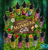 Twelve Monkeys Twelve Monkeys 10ml Nic Salt 20mg