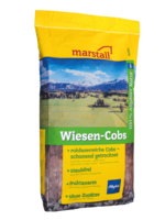 Marstall Wiesen Cobs