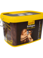 Marstall Kollagen