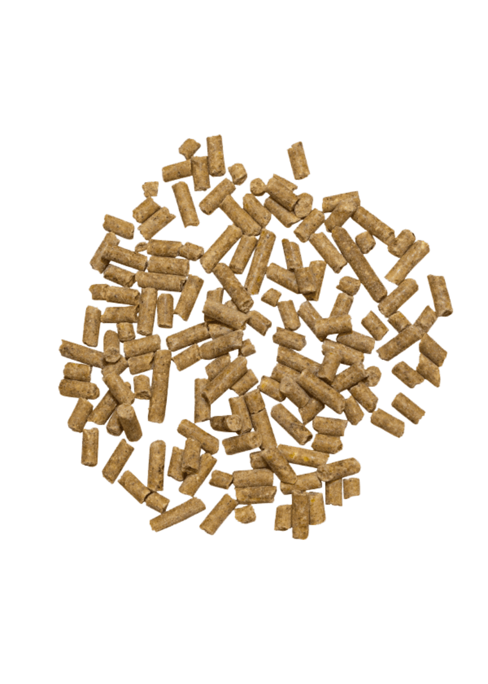 Marstall Marstall Amino-Muskel