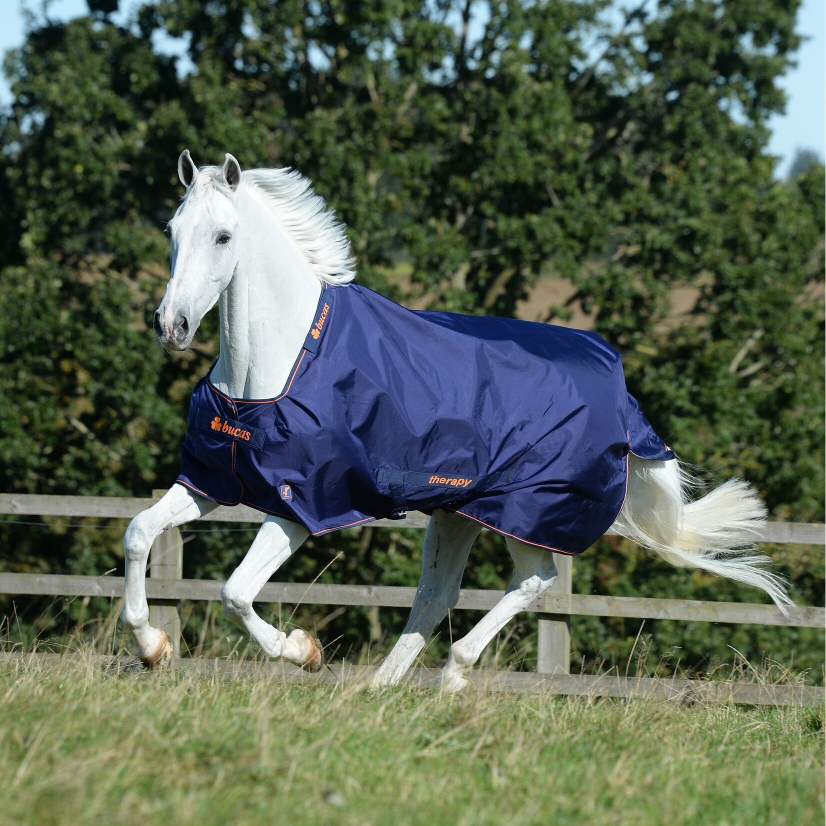 Bucas Therapy Turnout 150